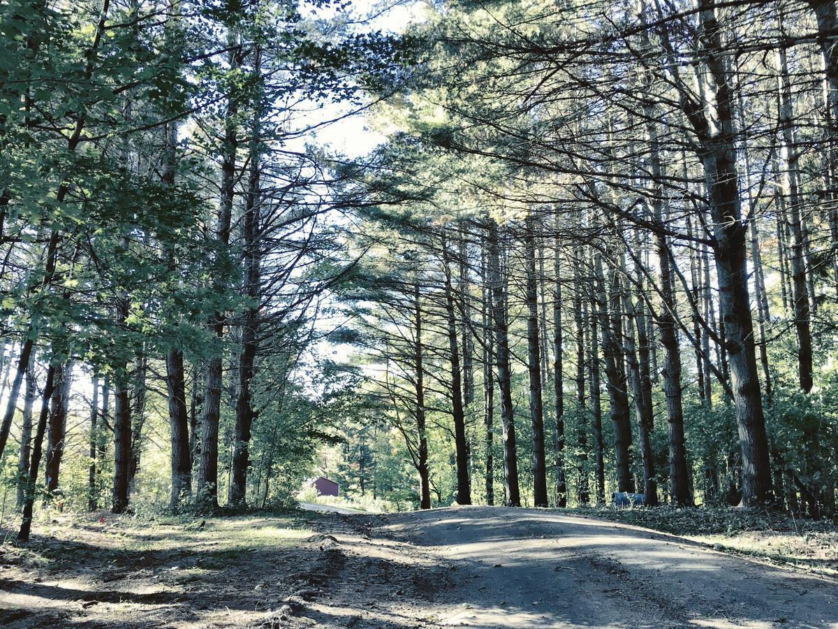 Highland Lodge Greensboro Dış mekan fotoğraf